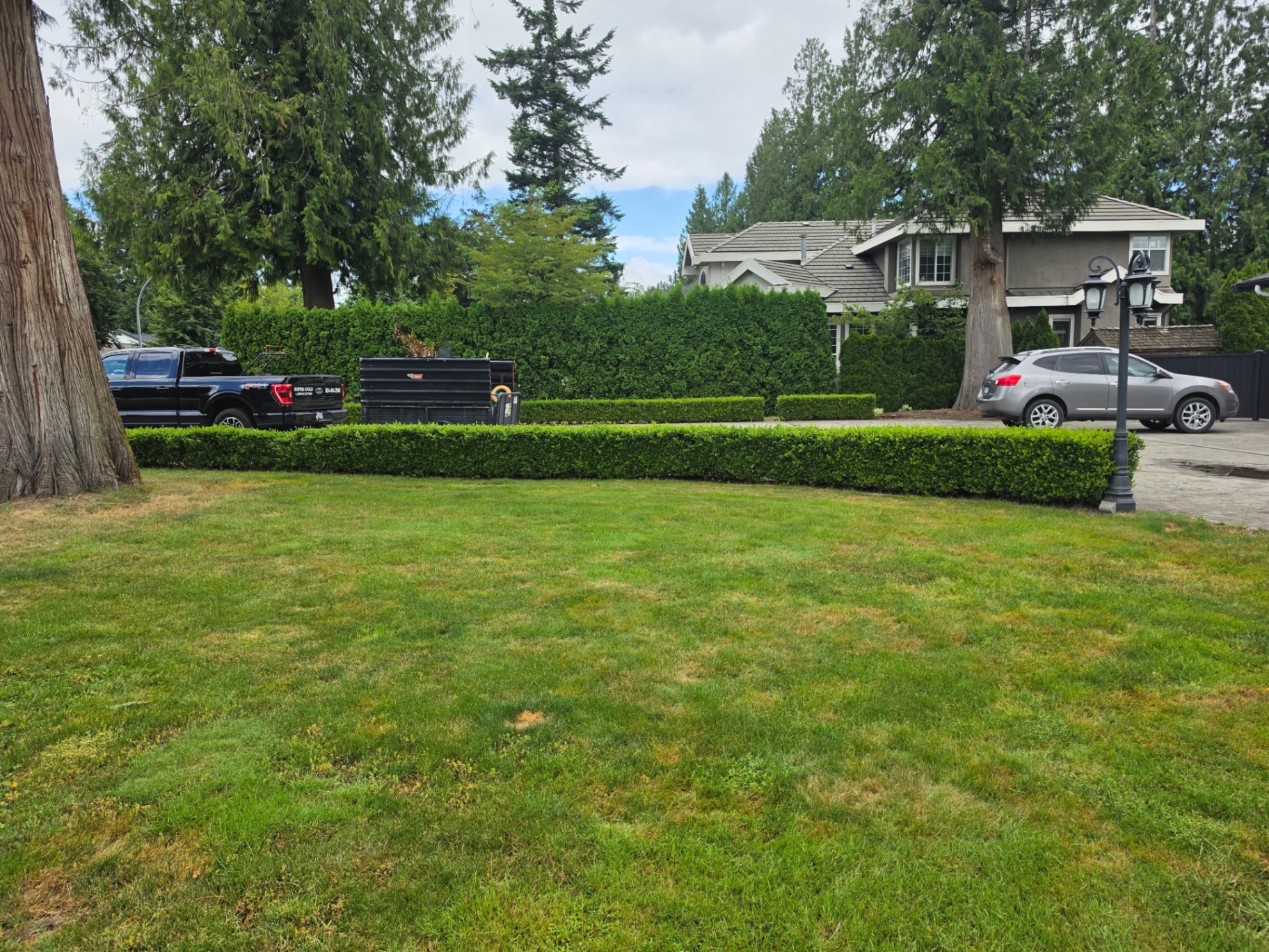 Trimmed hedges bordering a healthy green lawn — Super Gold work truck